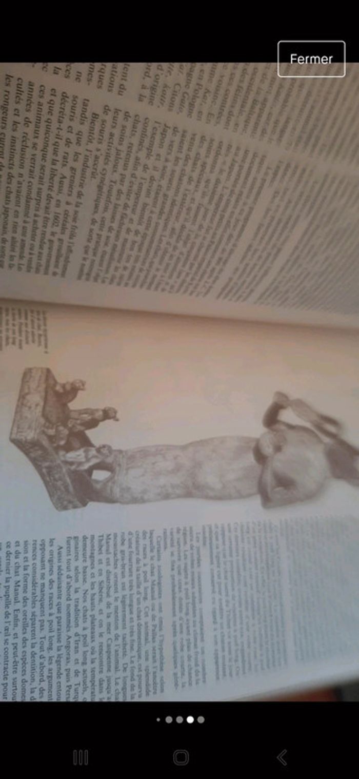 Grand livre documents photos et texte - photo numéro 5