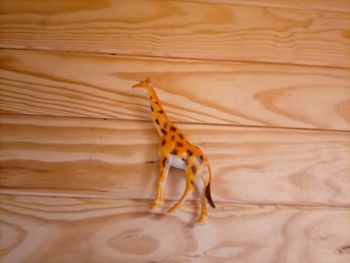 Figurine girafe réaliste