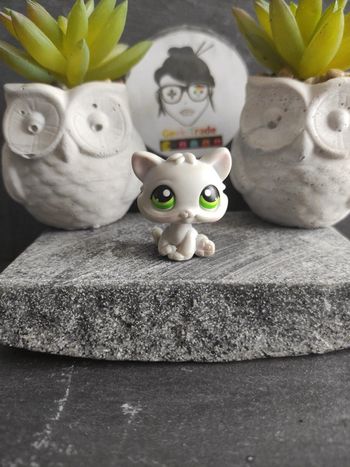 Littlest Petshop Pet Shop LPS chat snowshoe 88 cat Kitten #geektradelpschat