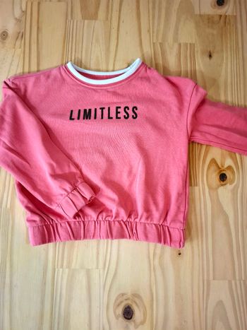 Pull rose Orchestra – 4 ans