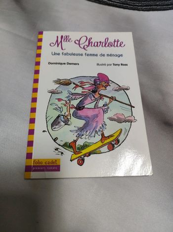 Mlle Charlotte une fabuleuse femme de ménage livre