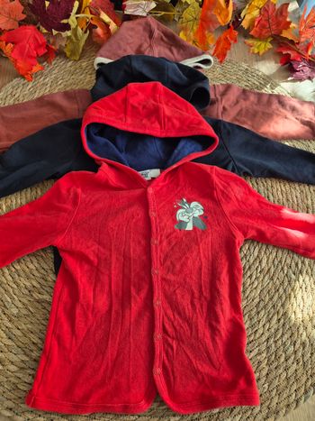 Lot de 3 vestes sweat  zippées 3 ans