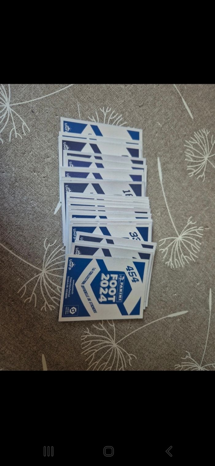 Stickers panini foot 2024