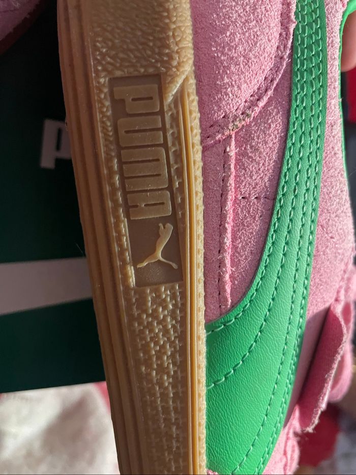 Puma palermo - photo numéro 6