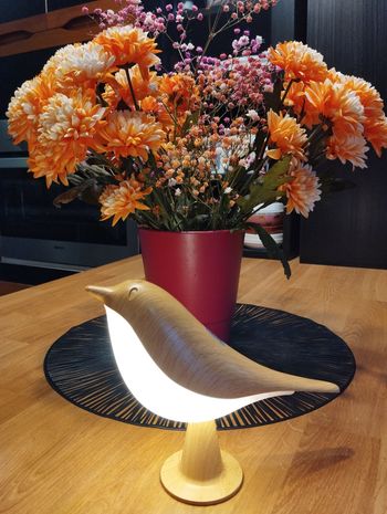 Lampe veilleuse led style oiseau 