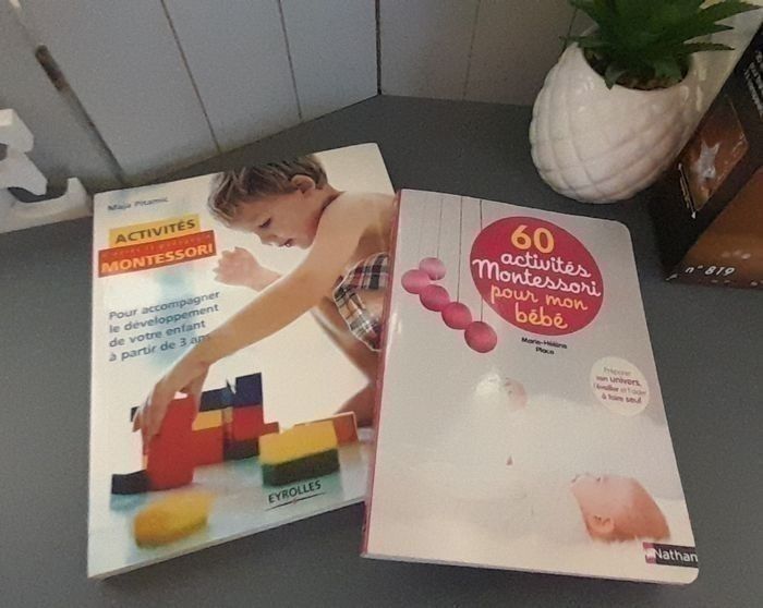 Lot 2 livres 📚 activités Montessori