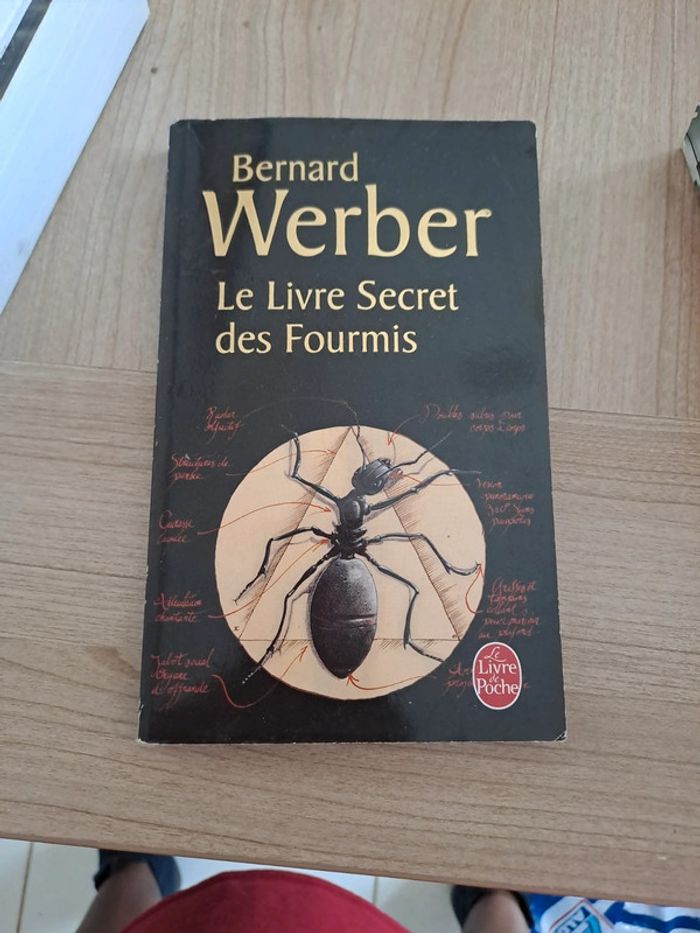 Livre secret des fourmis