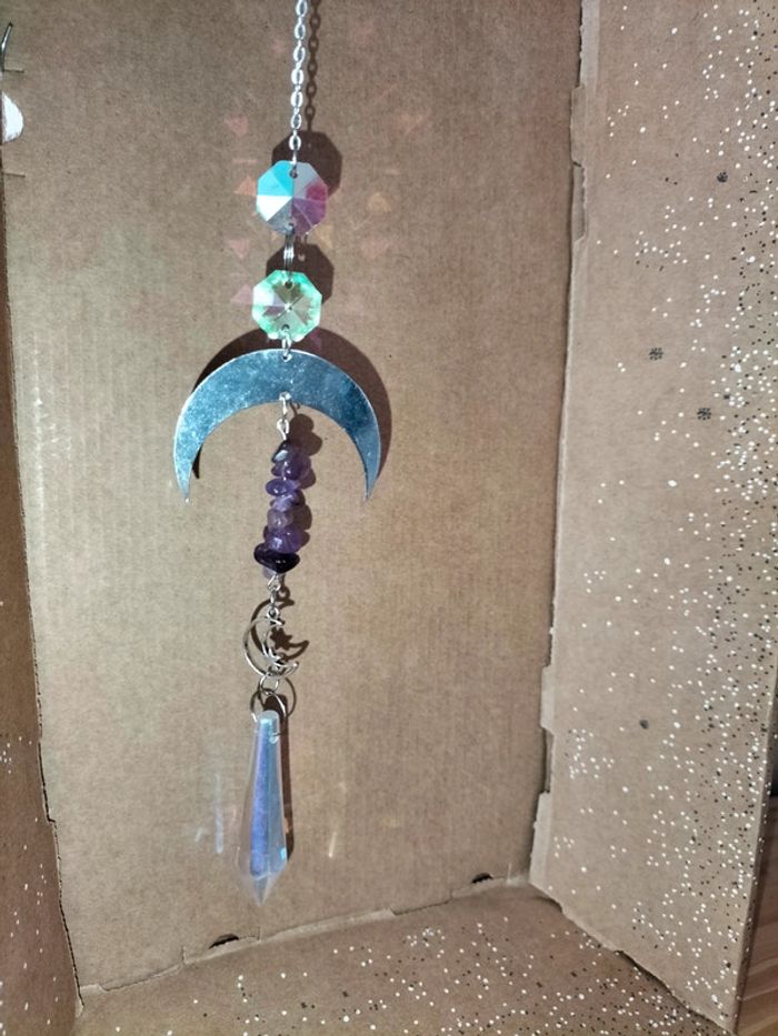 Grand attrape soleil - photo numéro 5