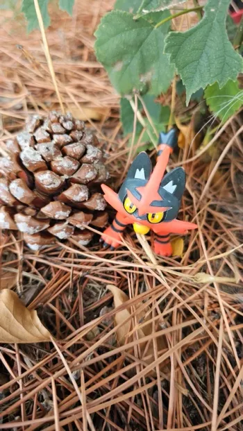 Super figurine Pokemon Nintendo Matoufeu