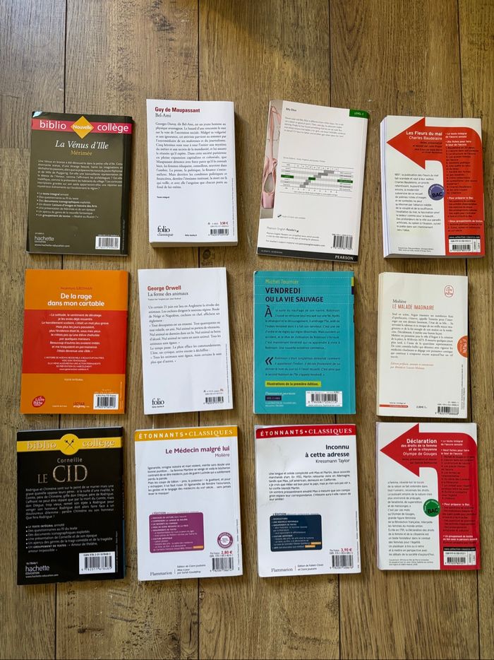 Lot de livres - photo numéro 2