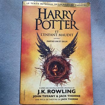 Harry Potter et l'enfant maudit.
