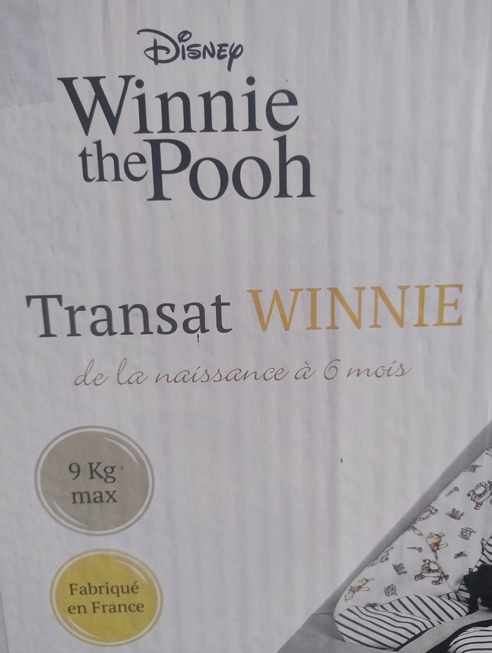 Transat Winnie l'ourson - photo numéro 6