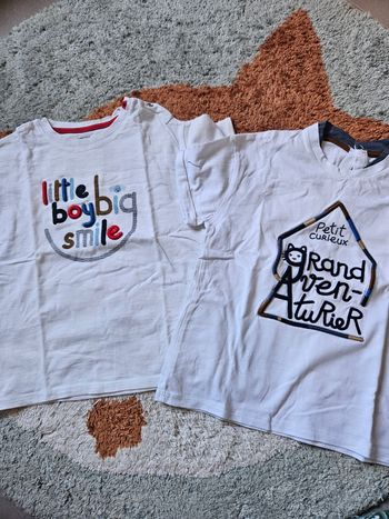 Lot de 2 t-shirt- 36mois