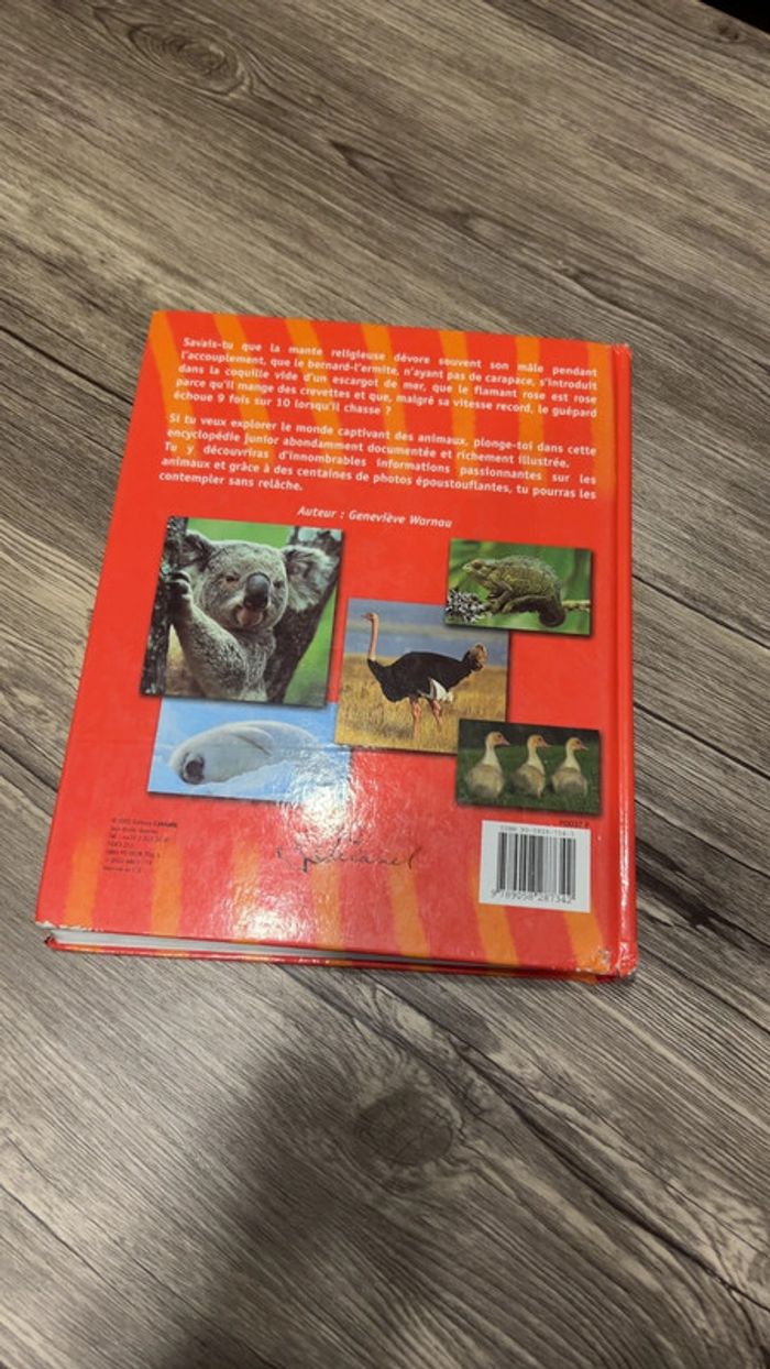 Livre enfant - photo numéro 3