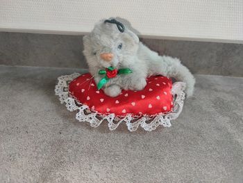 Peluche chat sur coussin