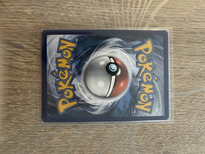 Pokemon Zamazenta V - photo numéro 2