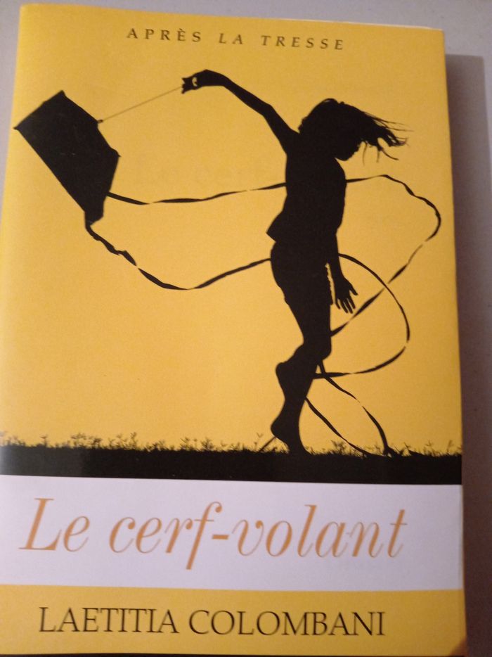 Le cerf-volant - photo numéro 1