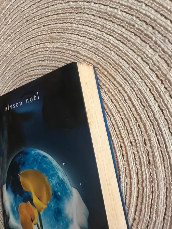 Livre Éternels Tome 2 - photo numéro 8