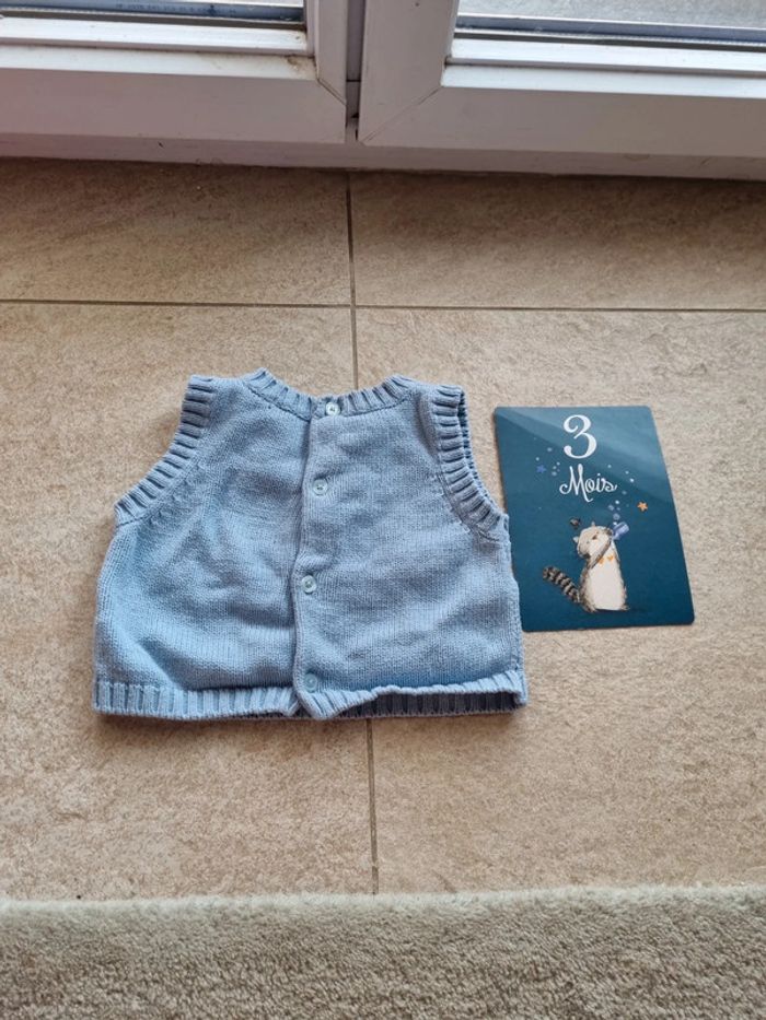 Pull 3 mois petit pivat - photo numéro 3