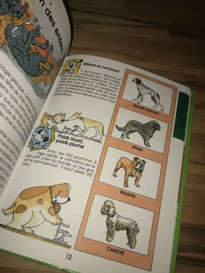 1991 livret mes carnets futés: le chien à partir de 9 ans - photo numéro 9