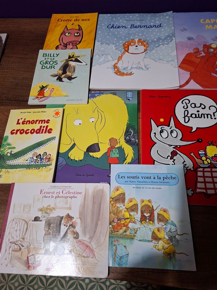 Lot de 12 albums livres l École des Loisirs - photo numéro 5