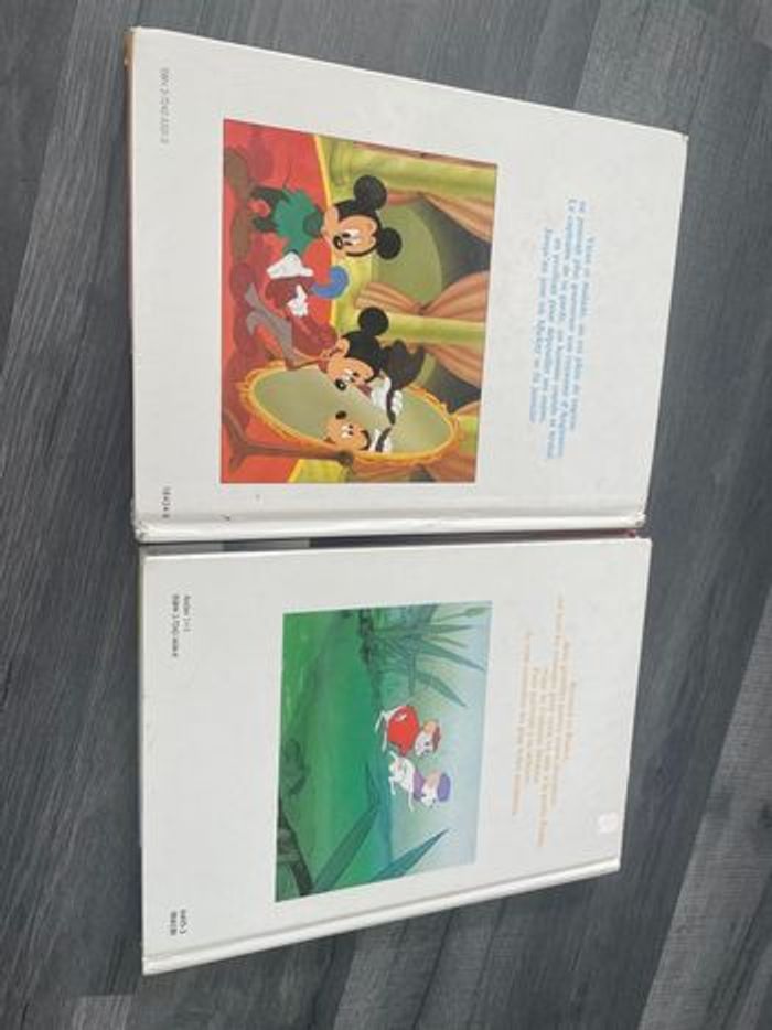 Lot de. 2  livres  Le prince et le pauvre / Bernard et Bianca - photo numéro 6