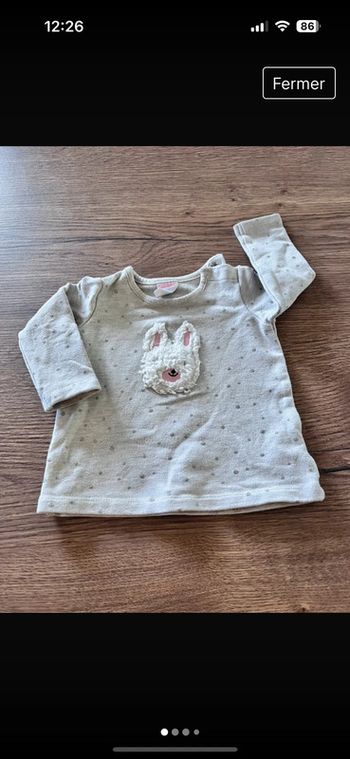 Pull lapin