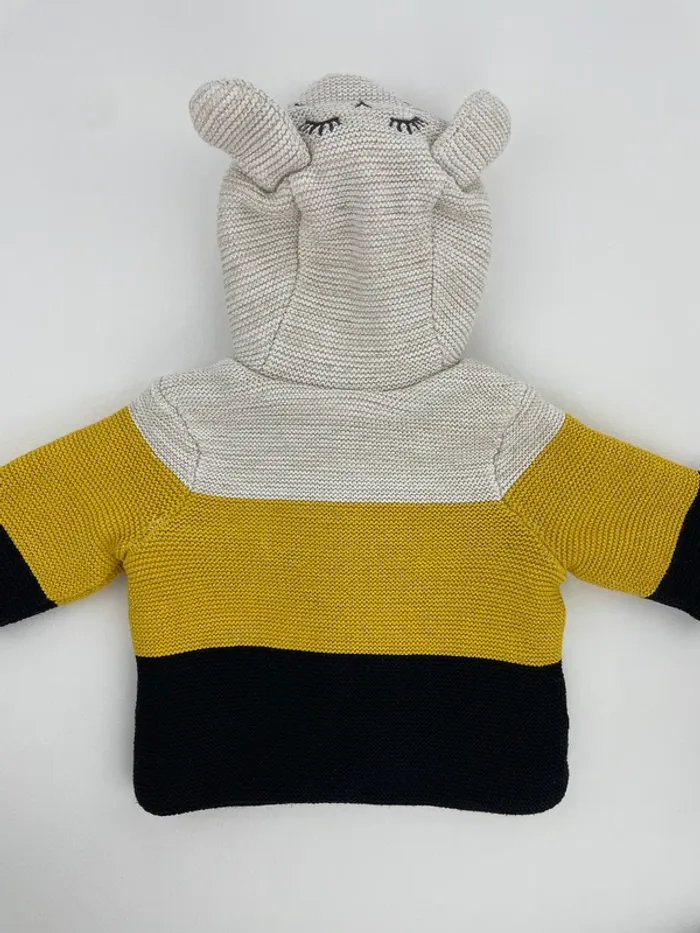 Veste à capuche - Orchestra – 3 mois (60 cm) - photo numéro 2