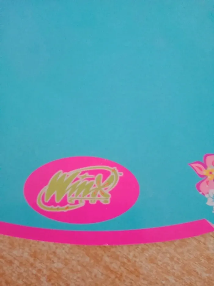 Penderie winx club - photo numéro 8