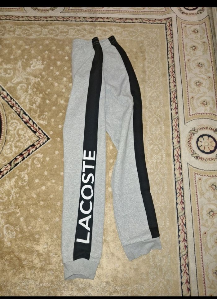 Pantalon lacoste rare - photo numéro 4