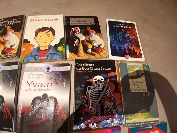 divers livres collège - photo numéro 5