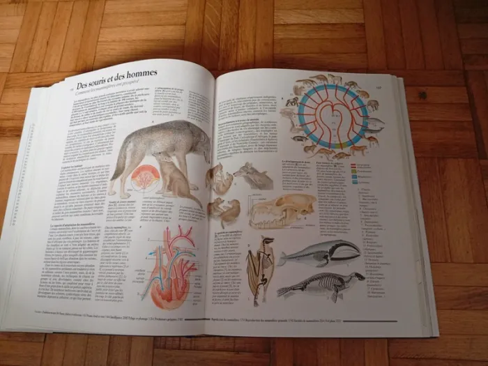 Le grand livre des secrets de la nature - photo numéro 6