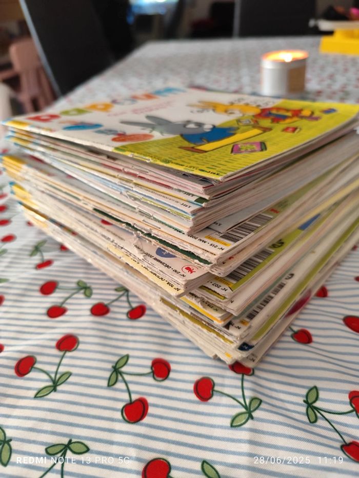 Lot papoum 40 livres dont une année complète