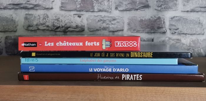 Kididoc Les châteaux forts , le voyage d'Arlo, Histoires de pirates et autres - photo numéro 3