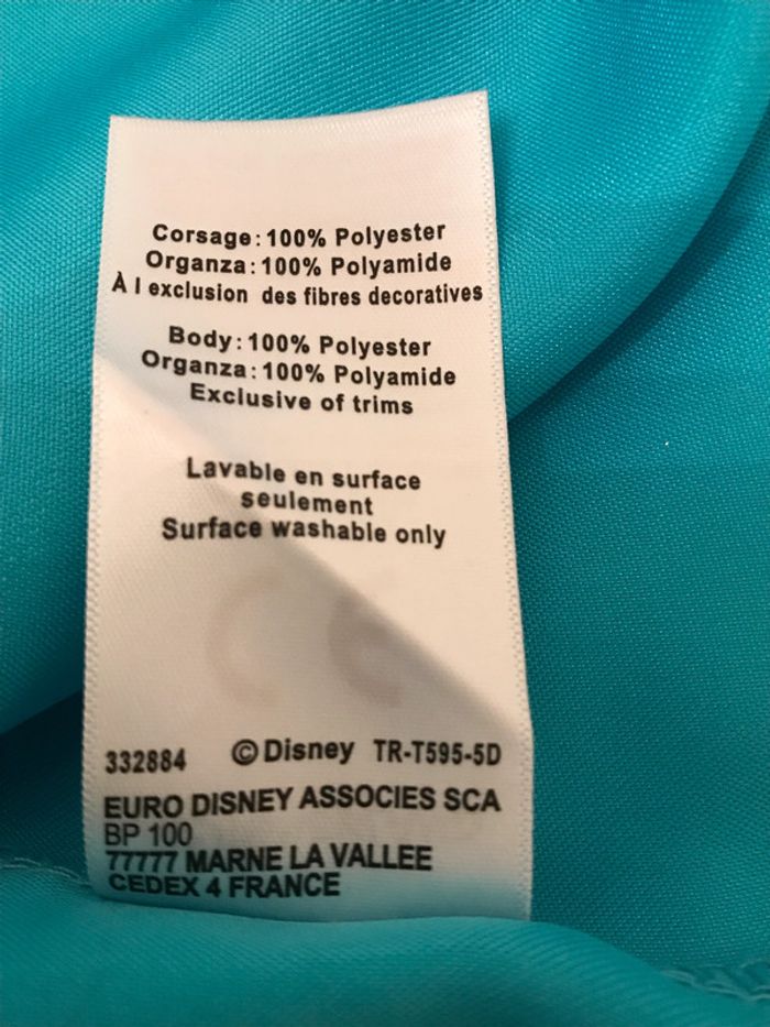 Déguisement de le Reine des Neiges - photo numéro 11