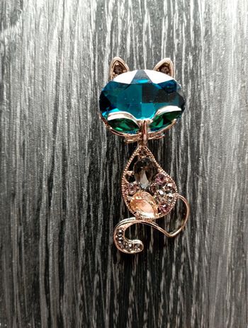 Broche chat : idée cadeau 🎁