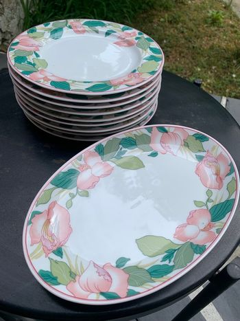 Lot 9 assiettes dessert et plat 