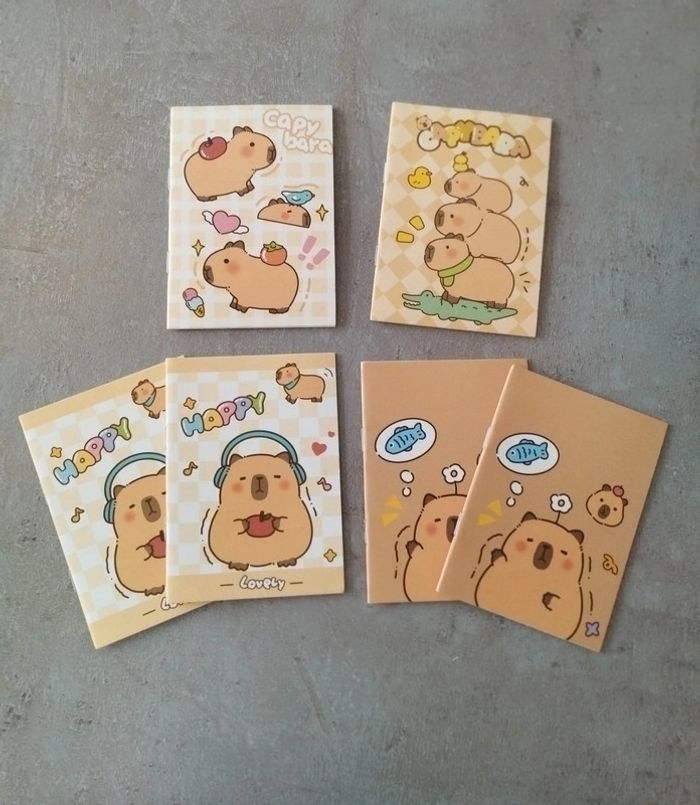 Fourniture scolaire : lot 6 petits cahiers Capybara