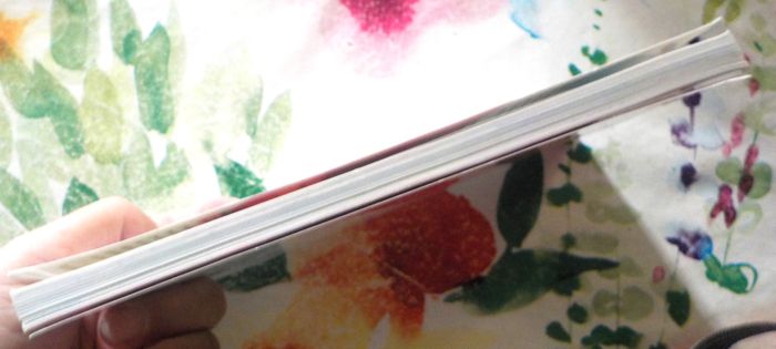 HAPPY BABY Bébé de sa naissance à sa première bougie - photo numéro 4