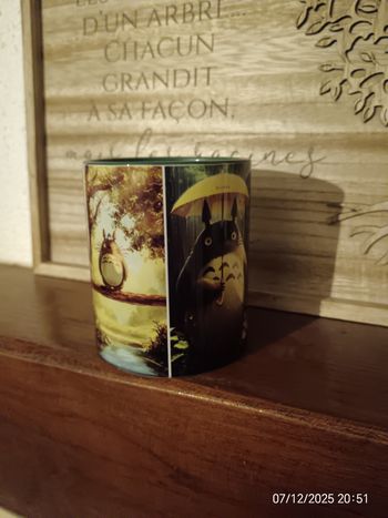 Mug Totoró