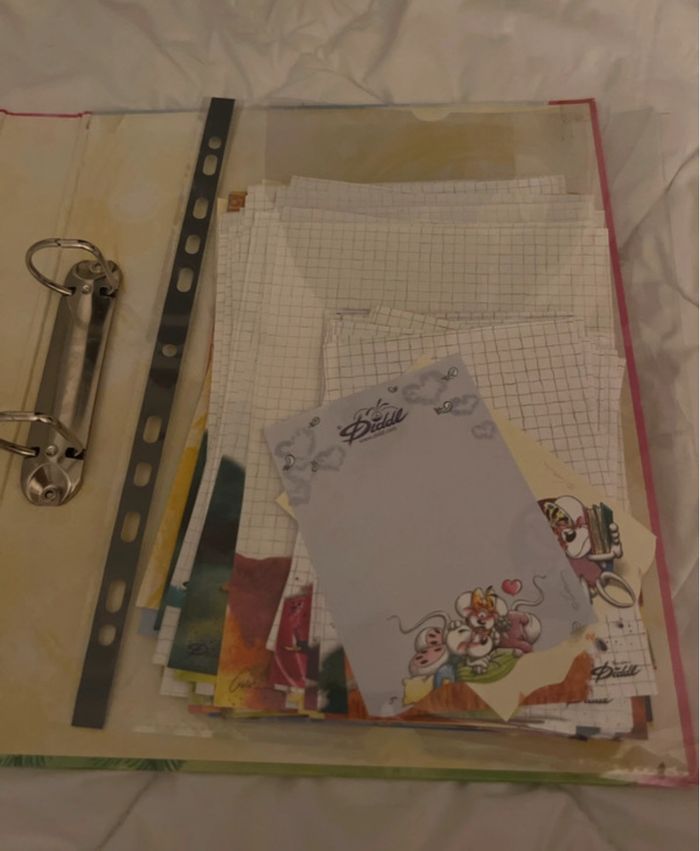 Classeur Diddl avec 104 feuilles 🩵🐭 - photo numéro 5