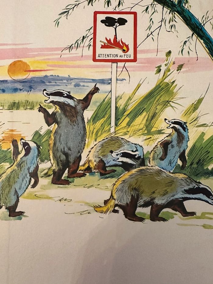 1979 Livre ancien Fanfan et la Colline en Feu Grands albums Hachette Pierre probst auteur Caroline - photo numéro 9