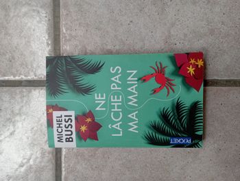 "ne lâche pas ma main" de Michel BUSSI
