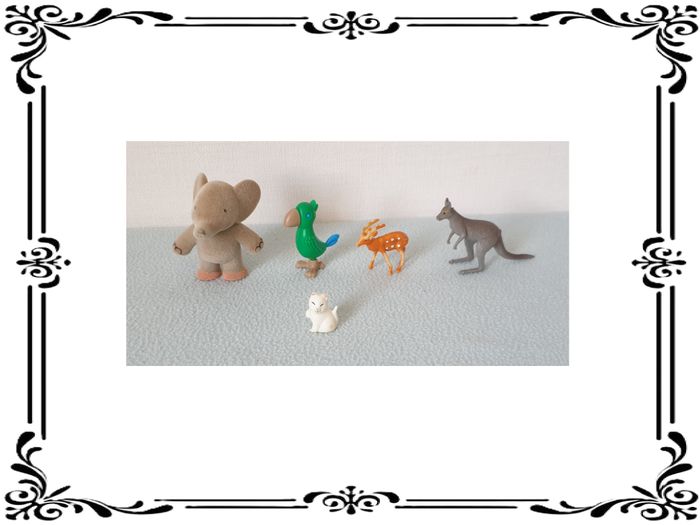 Animaux divers.
