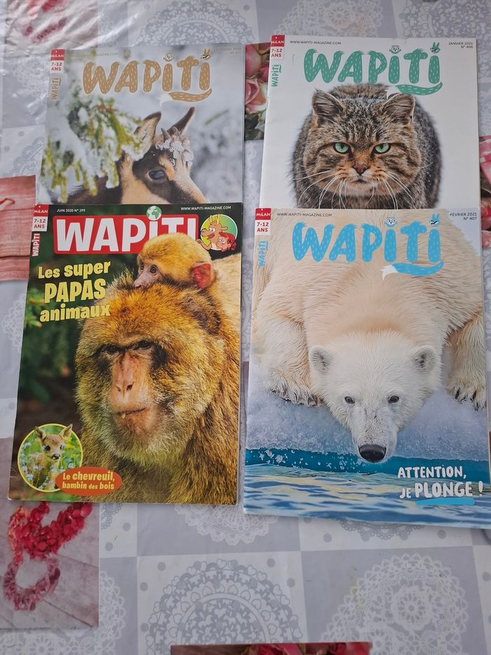 Wapiti - photo numéro 2