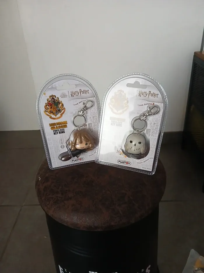 Porte clé harry potter