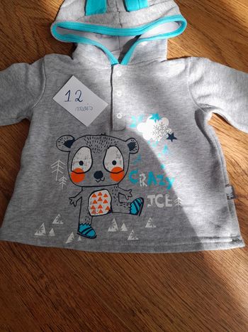 Sweat à capuche 12 mois petit beguin