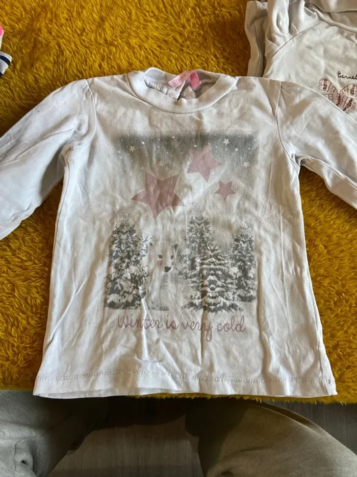Lot t shirt manche longue 2 ans - photo numéro 3