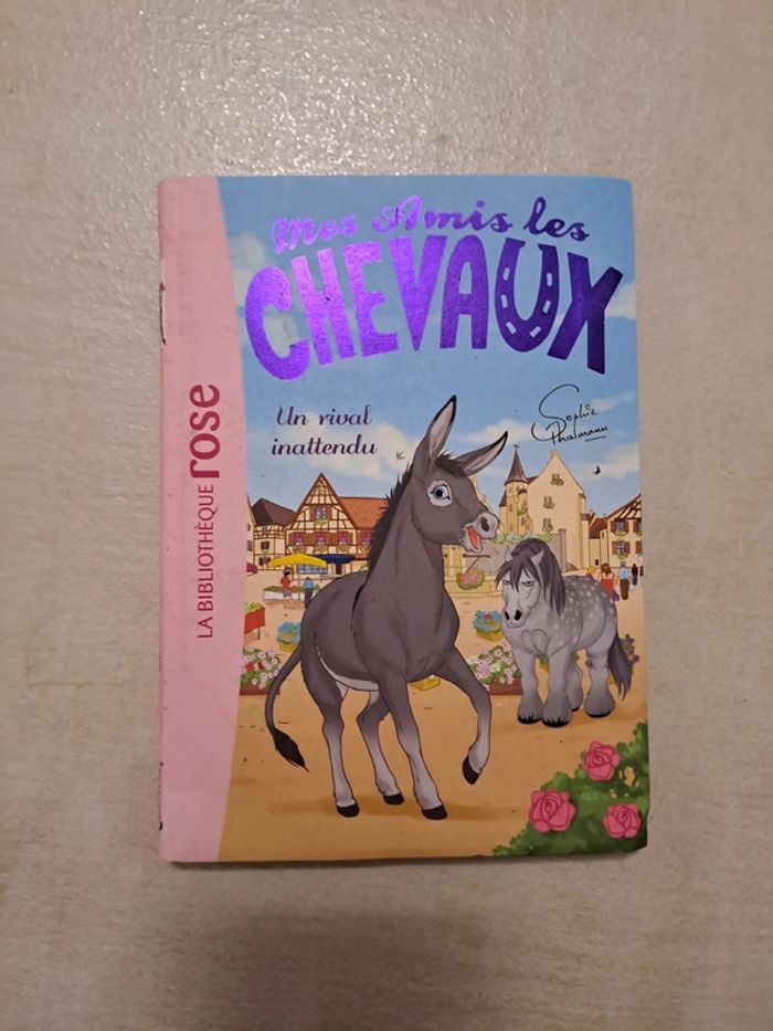 Mes amis les chevaux