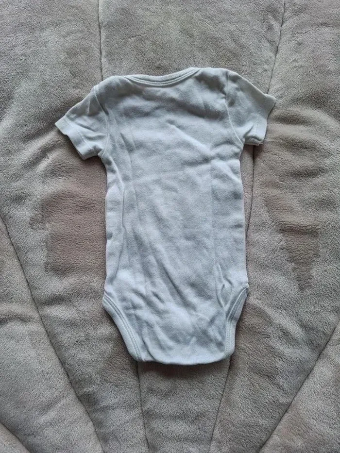 lot bodies - photo numéro 4